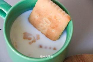 山东钙奶饼干娱乐吃瓜酱